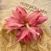 Atmosfera de Início da Primavera Estilo Feriado Presilha de Cabelo Flor de Lírio Super Fada Flor Foto Acessórios de Cabelo Feminino Flor Lateral Acessório de Cabeça