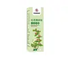Spray de Fragmento Ósseo de Flor Vermelha, Spray para Articulações, Coluna Cervical, Joelho, Coluna Lombar Spray, Líquido Antibacteriano Penetrante nos Ossos, Versão Atualizada, Outros
