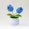 Flor Popular Tejida a Mano Transfronteriza Flor de Lana Tejida Flor Artificial Flor de Tulipan Flor de Lana Ganchillo Planta en Maceta Hecha a Mano Producto Terminado