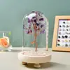 Enfeites de Árvore de Cristal Natural Árvore da Fortuna de Citrino Garrafa dos Desejos Cobertura de Vidro Árvore da Vida Artesanato para Decoração de Casa