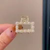 Pinza Sujetapelos Metálica para Cola de Caballo para Mujer, Pinza Pequeña de Pelo de Moda, Pinza para Cola de Caballo, Pasador Pequeño, Accesorio para el Cabello Pinza de Tiburón