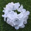 Cabeça de Hortênsia Flor Artificial Tecido de Seda 30 Cores Cabeça de Hortênsia Base para Fileira de Flores de Casamento Parede de Hortênsia Cabeça de Flor Artificial