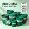 Maceta de Galón Verde para Plantas de Balcón, Suculentas y Rosas, Maceta de Plástico Simple, Venta Directa del Fabricante