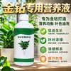 Solução Nutritiva de Diamante Dourado Fertilizante Especial Diamante Vermelho Princesa Verde Cultura de Solo Plantas Hidropônicas Plantas Verdes em Vasos Internos Fertilizante Líquido Orgânico