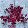 Oferta Especial Tema Rojo Grande Boda Flor Artificial Al Por Mayor Nuevo Estilo Chino Borgoña Flor de Guía de Camino Base de Fila de Flores Artificiales