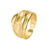 Anillo de Celebridad de Internet Estilo Francés Plata de Ley 925 Versátil Hip-Hop Fashionistas Irregular Convexo Cara Ancha Anillo Abierto para Dedo