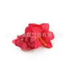 Popular Pinza de Flor para el Cabello de Amazon, Pasador Lateral, Pinza de Pato para Fotos de Estilo Festivo, Accesorio para el Cabello