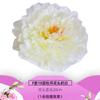 Cabeza de Flor Simulada Flor de Seda Boda Flor de Seda Accesorios Linterna LED Utilería para Fotografía Flor de Peonía Luz Nocturna