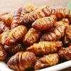 Pupa crujiente de gusano de seda Xijiu, vegetal especial de Shandong, bolsa abierta, instantánea, picante, fresca, capullo de pupa, frita, comida cocida, bocadillos, lote