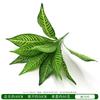 Fita Simulada Planta Verde Cabo Buquê Folhas Casamento Jardinagem Paisagismo Acessórios Decoração Parede de Plantas Flores Artificiais de Plástico Atacado