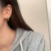 Pendientes de color Maillard otoño e invierno Nuevos pendientes retro de piedra de ojo de tigre de moda pendientes de lujo ligeros de una sola palabra geométricos simples