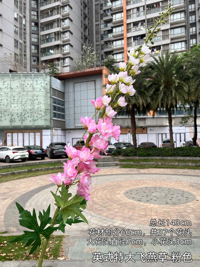 英式特大飞燕草 粉色.jpg