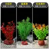 Plantas de Acuario, Decoraciones de Paisajismo con Césped Real, Plantas Aptas para Principiantes, Crisantemo Verde Ciempiés, Plantas de Sombra, Piedra Volcánica, Plantas Verdes Purificadoras de Agua