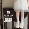 Meias Infantis Primavera e Verão Finas Respiráveis de Malha Estilo Coreano Infantil com Barra de Renda Floral Branca Escura Meias Versáteis de Cano Médio
