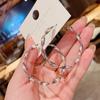 @ especial Corea del Sur sentido del diseño de alta gama viento frío círculo de metal moda ola personalidad aretes de aretes rojo neto