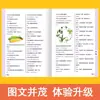 3000 Preguntas sobre Puntos Clave del Test de Conocimientos Generales para Estudiantes de Primaria - Enciclopedia Infantil China Búsqueda de Conocimiento Volumen Libro
