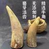 Petiscos para Cachorro, Ossos Molares de Chifre Secos ao Ar, Brinquedos para Cães Pequenos, Médios e Grandes, Limpeza dos Dentes, Resistência à Mastigação, Resistência à Mordida, Sem Aditivos, Petiscos para Animais de Estimação