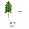Simulación de hoja de tortuga, planta verde, fondo, decoración de pared, planta, hojas de pared, pegamento, varilla larga, tela de seda, hoja, exposición de ingeniería