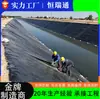 Manta Geotêxtil Impermeável Aterro Sanitário Digestor de Biogás Manta Impermeável Proteção de Margem de Rio Renovação de Zona Úmida Manta Geotêxtil Impermeável de HDPE
