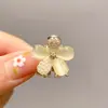 Pinza Sujetapelos Metálica para Cola de Caballo para Mujer, Pinza Pequeña de Pelo de Moda, Pinza para Cola de Caballo, Pasador Pequeño, Accesorio para el Cabello Pinza de Tiburón