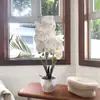 Flores Artificiais Filme Impresso 3D Textura Orquídea Bonsai Planta Artificial Planta em Vaso Artificial Flor Simulação
