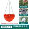 Maceta Chlorophytum para balcón, planta en maceta colgante con gancho, maceta colgante pequeña para suculentas de interior, maceta cesta colgante de plástico