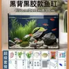 Acuario de Pez Arowana, Acuario de Cristal, Acuario de Escritorio, Filtro para Acuario, Acuario Pequeño para el Hogar, Acuario de Oficina, Acuario de Espalda Negra