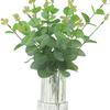 Hojas Simuladas Hojas de Eucalipto, Hojas de Dinero de Película, Muebles para el Hogar de Boda, Plantas Verdes Decorativas Simuladas, Transfronterizo