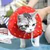 Anillo Elizabeth collar para gato collar para gato rosquilla de aguacate sombrero para mascota de gato anillo de vergüenza anti-lamido