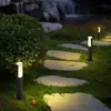 Luces Solares para Césped de Exterior Transfronterizas, Luces Impermeables para Jardín, Luces Decorativas para Villas, Luces LED de Atmósfera para Macetas de Jardín, Parque, Patio