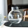 Jarrón de vidrio moderno y sencillo con forma de bola transparente, utensilios para flores hidropónicas, decoración de plantas y flores, adornos florales para sala de estar.
