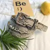 Cinturón de Serpiente con Hebilla Cuadrada, Cinturón Delgado, Moderno y Sencillo, Estilo Versátil, Decoración para Jeans, Cinturón Estilo Ins para Mujer
