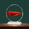 Nuevo Adorno de Cristal de Carpa Estilo Chino Decoración para Sala de Estar Gabinete de Vino Regalo de Inauguración de Casa Apertura Oficina Finanzas Mascota Propicia Adorno de Escritorio