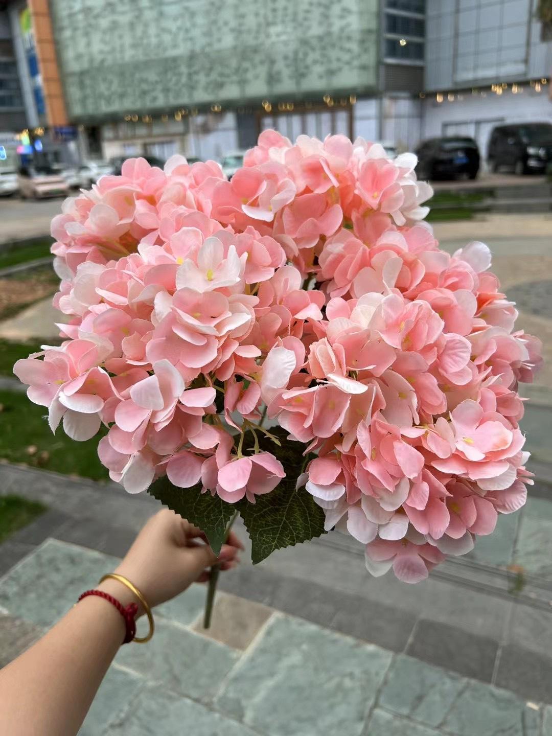 微信图片_20240724141251.jpg