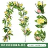 Huevo de Pascua de Ratán de Amazon Decoración de Pascua Corona de Hierba Acuática Artificial Planta Verde Enredadera Vid de Eucalipto Artificial