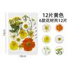 Saco de material de flor seca, planta, amostra, adesivo de flor, aromaterapia, vela em relevo, cola, moldura de foto, faça você mesmo, vácuo, saco de flores reais