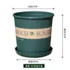 Vaso de Flores de Plástico Espesso Atualizado Venda por Atacado Vaso de Flores de Resina Vaso de Flores Verde Lilch Suculenta Vaso para Frutífera Rosa Vaso Extra Grande