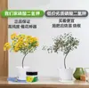Fertilizante de Fosfato Monopotásico, Fertilizante Especial para Flores, Auténtico para Uso Agrícola y Doméstico, Fertilizante Compuesto de Propósito General para Plantas en Maceta