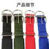 Suministros para mascotas perro collar de cuero suave forrado hebilla de hierro de polipropileno espuma collar para perro ajustable collar bufanda punto venta al por mayor