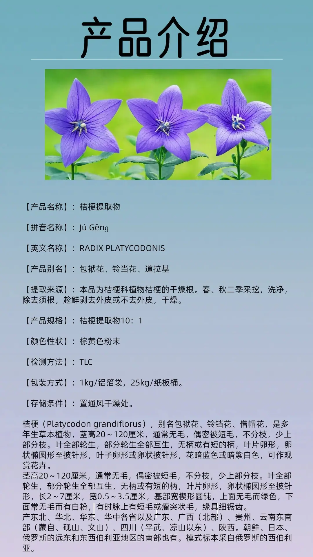 桔梗提取物