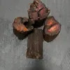 Madera de Azufaifo Golpeada por el Rayo, Madera de Durazno, Marcas de Rayo, Troncos Quemados por el Rayo, Material de Madera Original, Productos de Buena Calidad