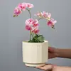 Vasos de Cerâmica Específicos para Orquídeas Phalaenopsis Grandes e Pequenas, Adequados para Plantas Pendentes, Árvores da Fortuna, Plantas Verdes e Suculentas, com Prato para Uso Doméstico