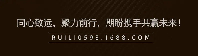 锐力机械化油器修理包3.jpg