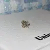 Serie Otoño e Invierno Café Dorado Claro Pendientes Minimalistas de Circonita Colección de Pendientes Café Dorado para Mujer con un Toque de Lujo y Pendientes de Lujo Ligero