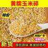 Copos de Maíz Amarillo Glutinoso, Sémola de Maíz Pegajosa, Granos Integrales, Sémola de Maíz Molida Fresca para Gachas, Disponible para Dropshipping, Venta al por Mayor y Minorista