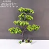 Decoração de Enfeite de Mesa Pinheiro Bem-vindo Pequeno Pinheiro Plantas Verdes Plantas Aquáticas Mini Rochedo Aquário Paisagismo Hotel