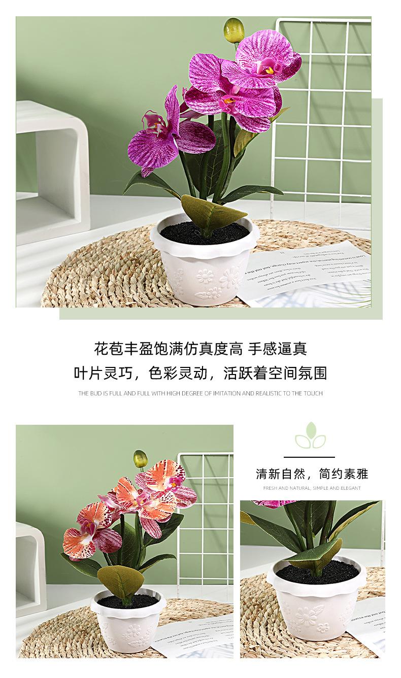 保侬详情_09.jpg