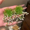 Pendientes Amarillos de Flor Súper de Hada para Mujer, Estilo Vacaciones en la Costa, Pendientes Frescos y Dulces, Accesorios para Orejas de Nicho y Hermosos