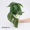 Decoración colgante de pared begonia larga plantas verdes artificiales hojas verdes plantas en maceta colgantes de pared arreglo floral paisajismo hojas pothos hojas de Monstera