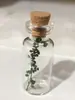 Japonês e Coreano Mais Vendidos Fresco e Doce Garrafa de Vidro de Garrafa de Deriva Trevo de Quatro Folhas Dente-de-Leão Flor Real Flor Seca Colar Modelo de Melhor Amiga